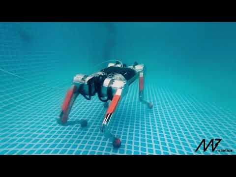 Underwater Walking of the Honey Badger Legged Robot | MAB Robotics